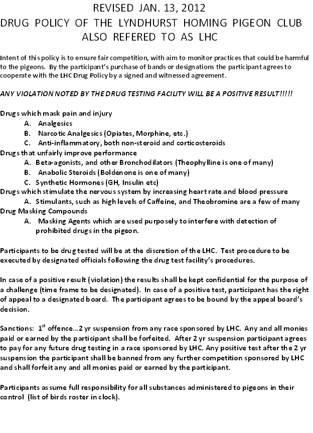 Microsoft Word Document
