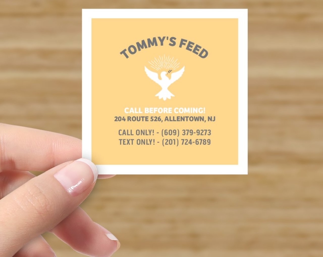 Tommy's Feeds